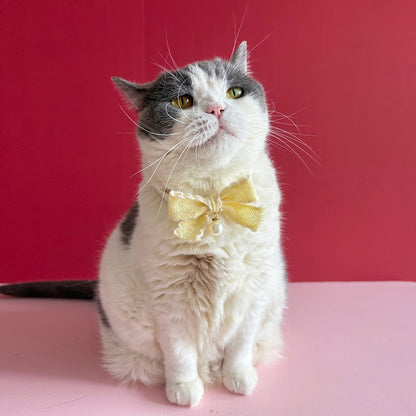 Mokka - Princess Style Bow Accent Cat Collar