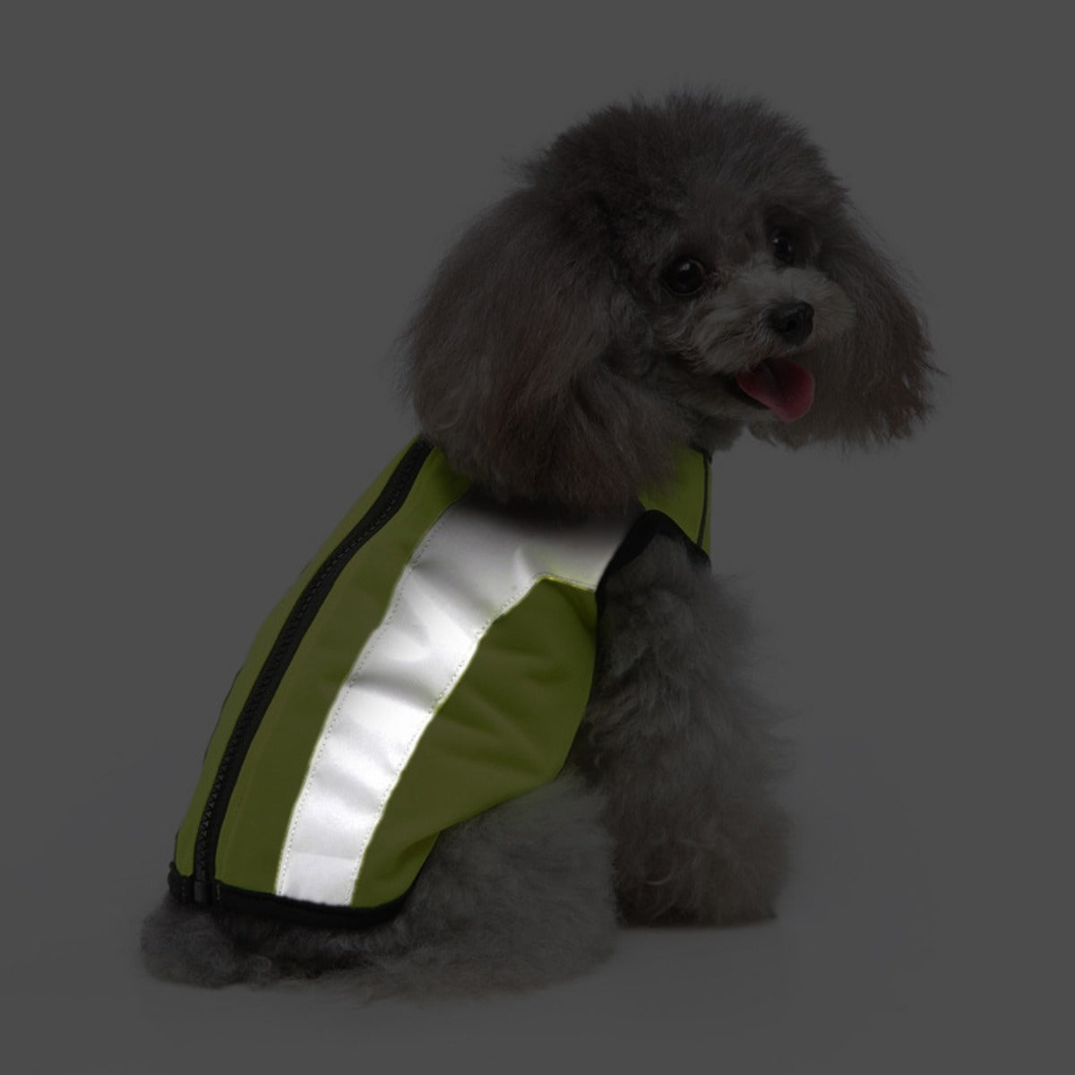 Ozzie - Reflective Safety Vest for Pets