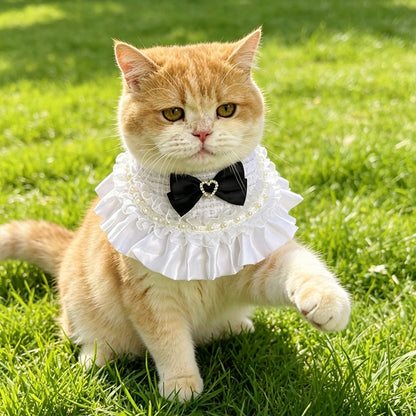 Mokka - Ruffle Trim Bow Accent Pet Bib