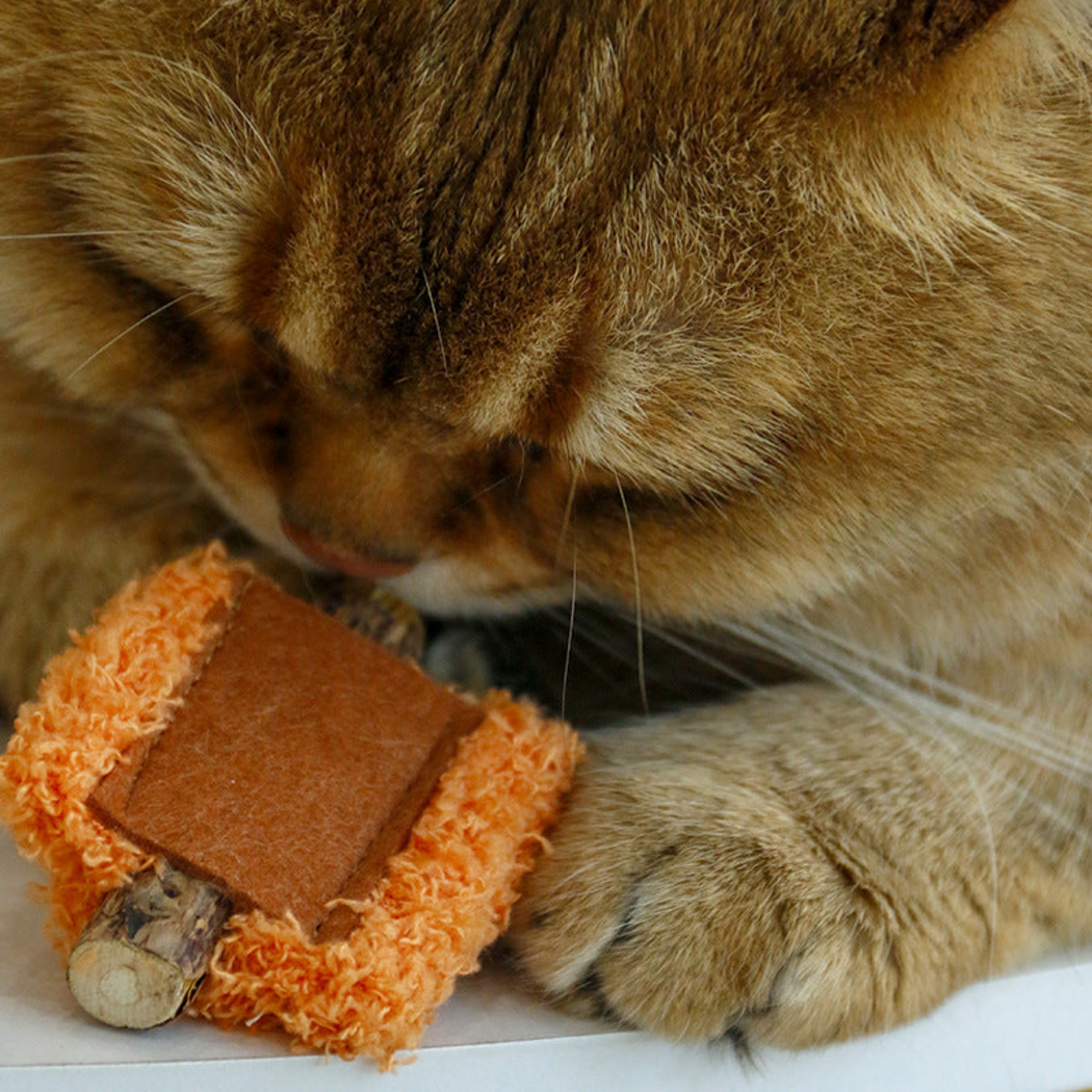 Cat investigating an Orange cat toy with a brown panel and exposed stick