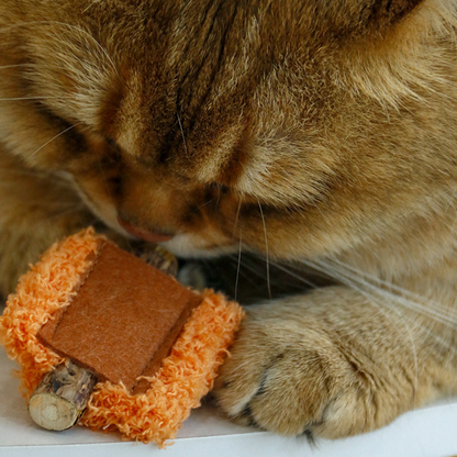 Cat investigating an Orange cat toy with a brown panel and exposed stick