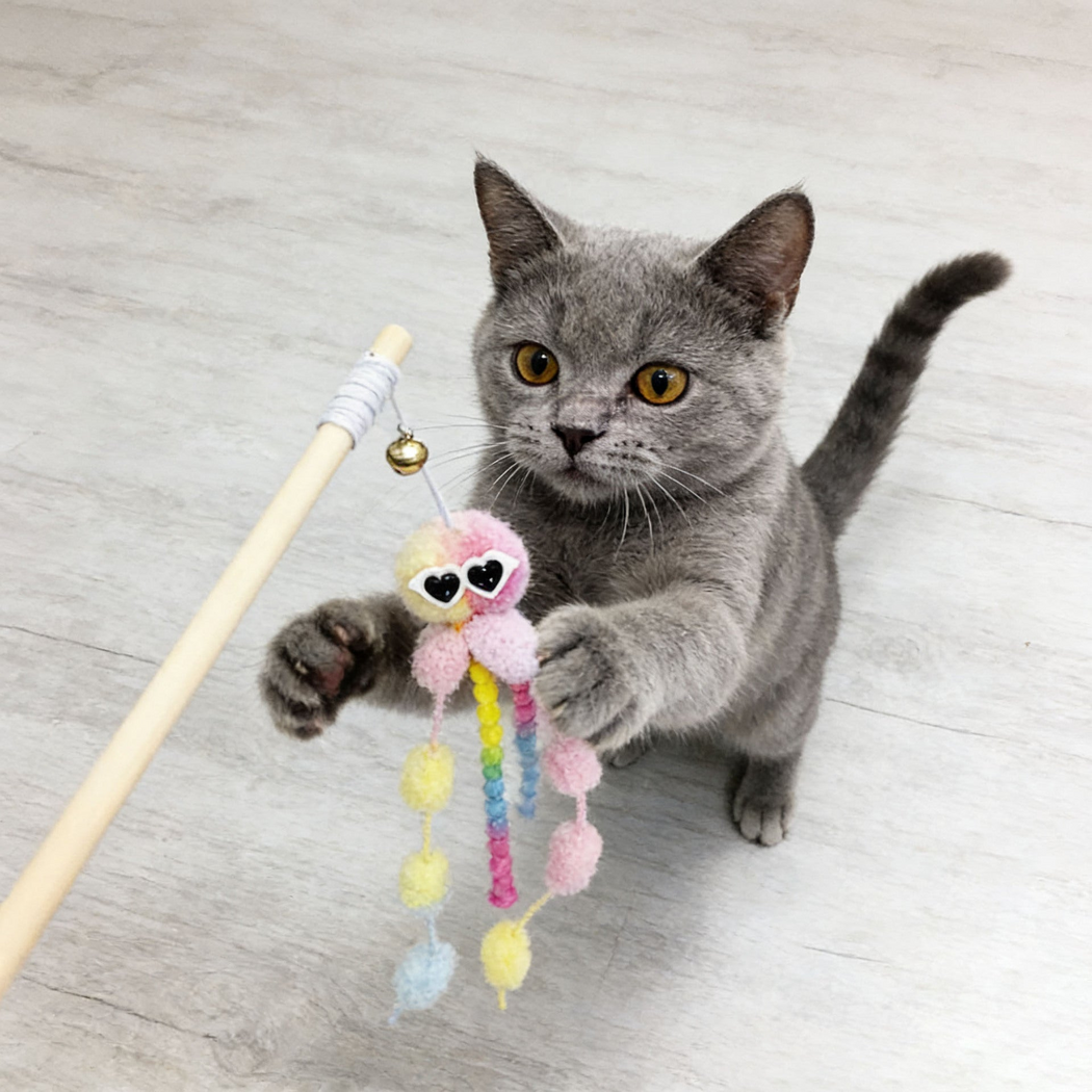 Gray cat reaching for a pink octopus cat teaser toy with a visible bell