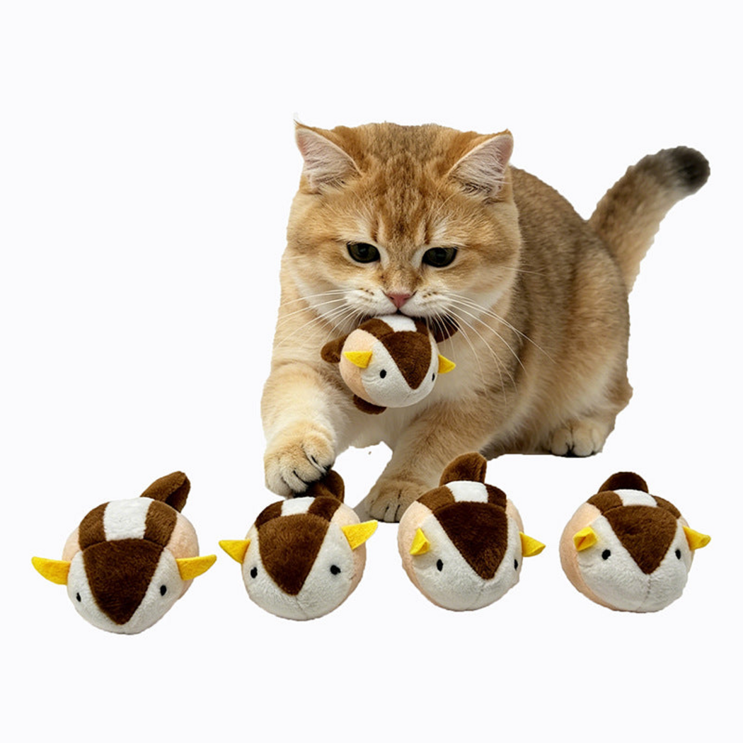 Cat holding a squirrel-shaped cat toy beside four matching toys