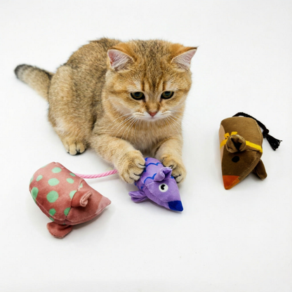 Golden cat resting its paws on a Purple mouse-shaped cat toy beside Pink and Brown toys