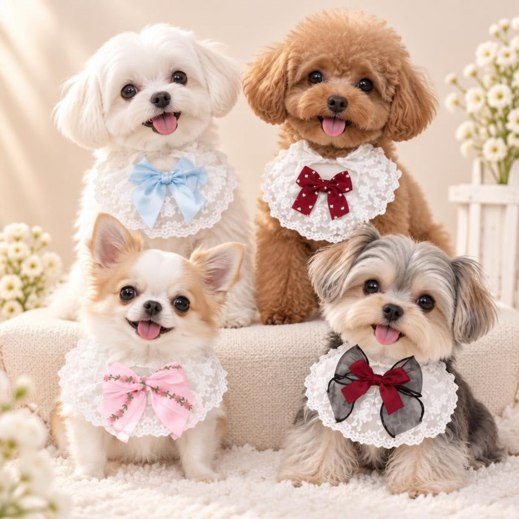 Four dogs wearing white lace-look Pet Neckwear with Blue, Burgundy, Pink and Black bows