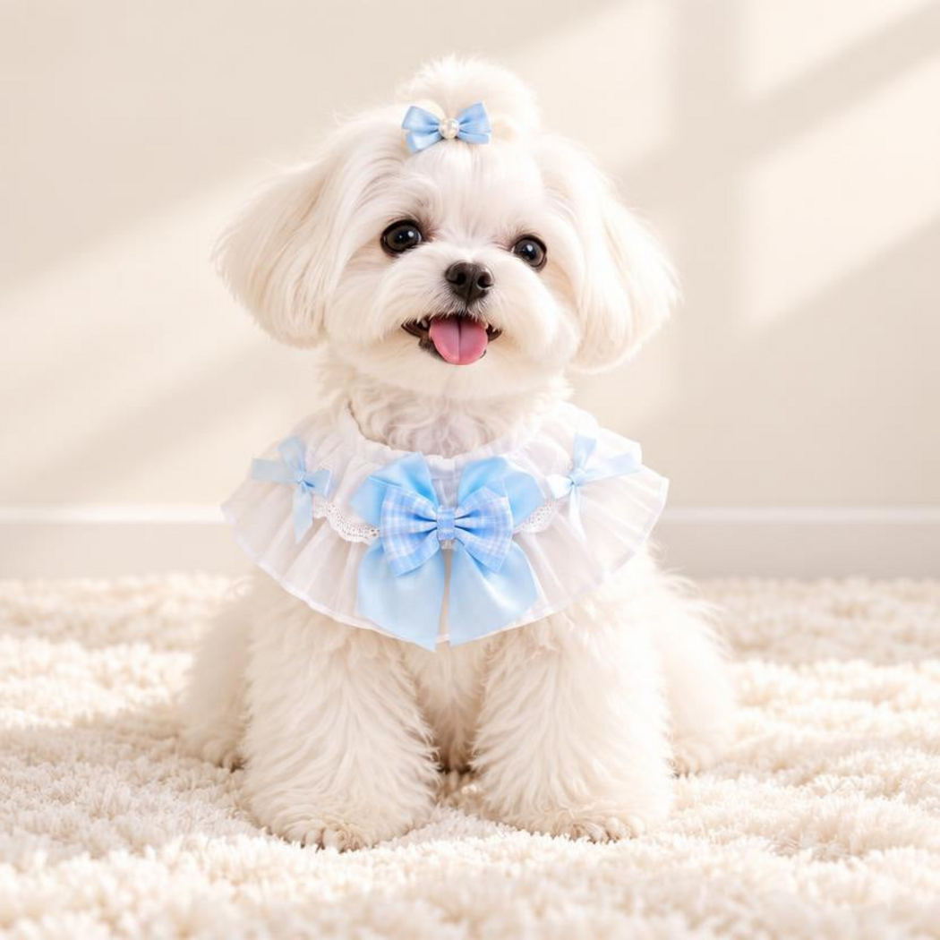 Blue ruffled Pet Neckwear with a central bow worn by a white dog