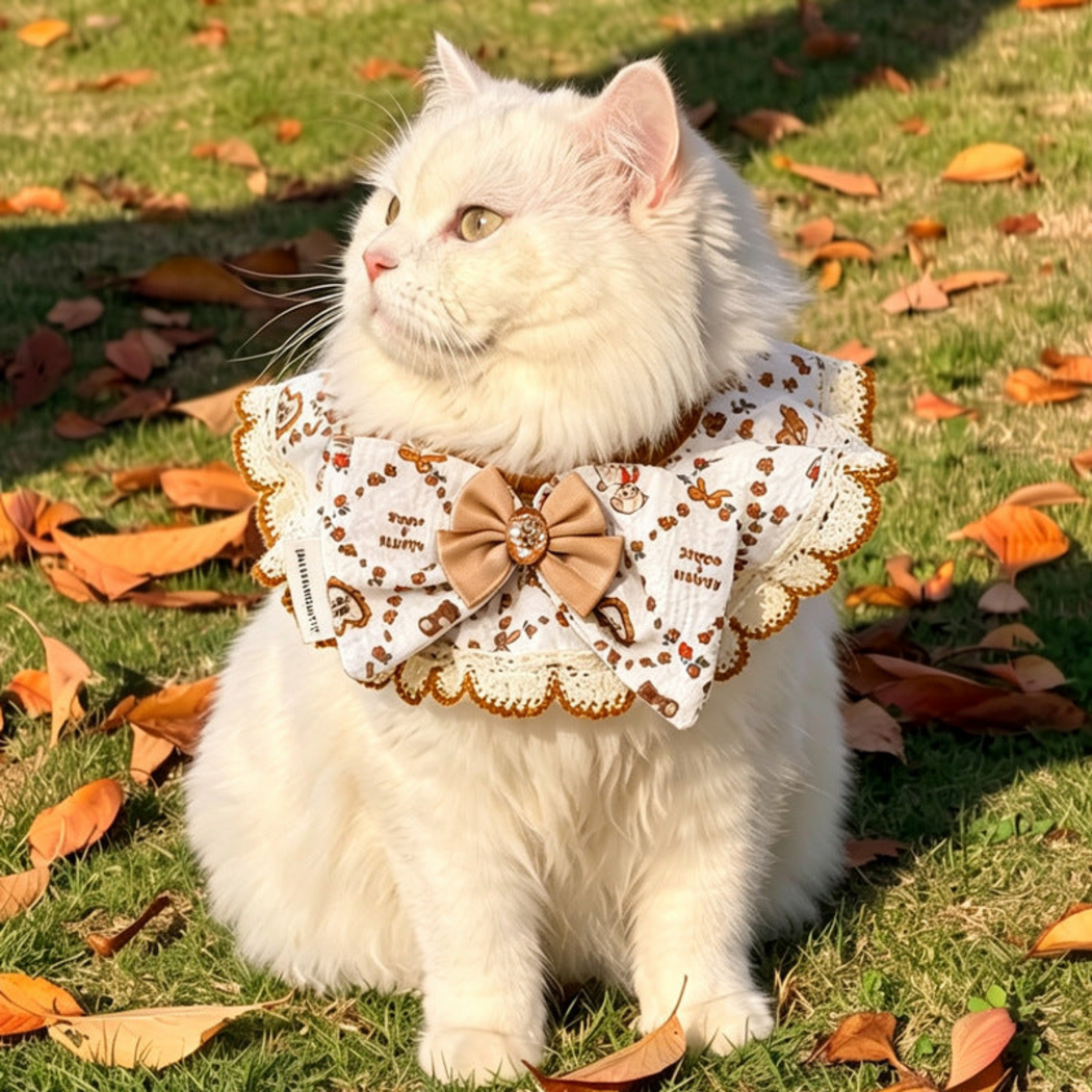 Animals Pet Neckwear with a beige bow and scalloped edging, worn by a white cat outdoors