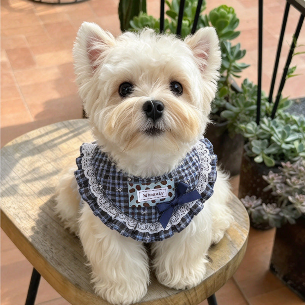 Blue plaid Pet Neckwear with a navy bow and white lace-look edging, worn by a white dog