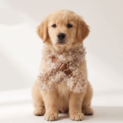 Camel pet neckwear with a brown strap and star-shaped buckle worn by a seated dog