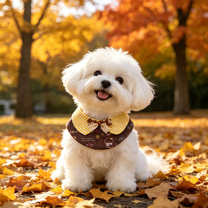 White dog wearing Peter Pan pet neckwear with yellow gingham panels and a brown bow outdoors