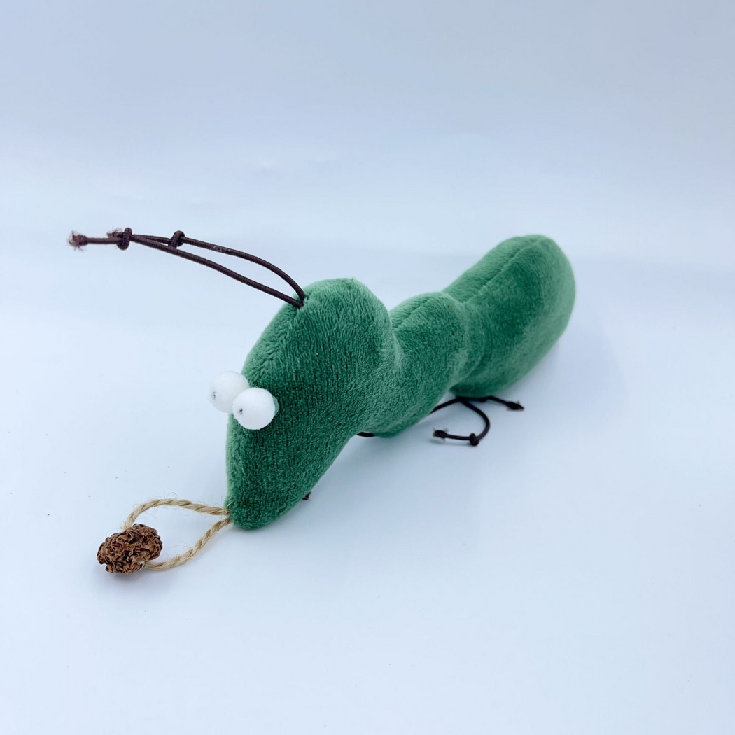 Ant cat toy in green, three-quarter view showing white eyes, cord appendages and brown ball attachment
