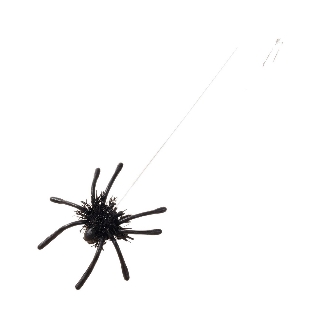 Black spider cat toy with extended clear line on white