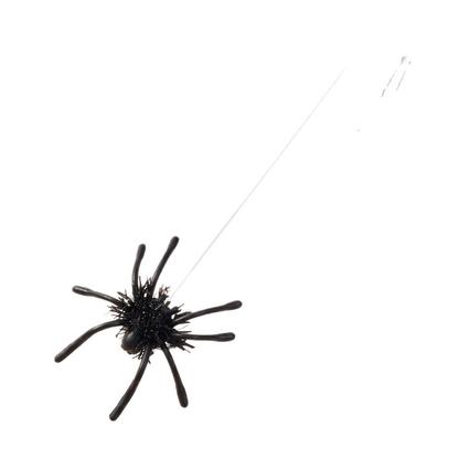 Black spider cat toy with extended clear line on white