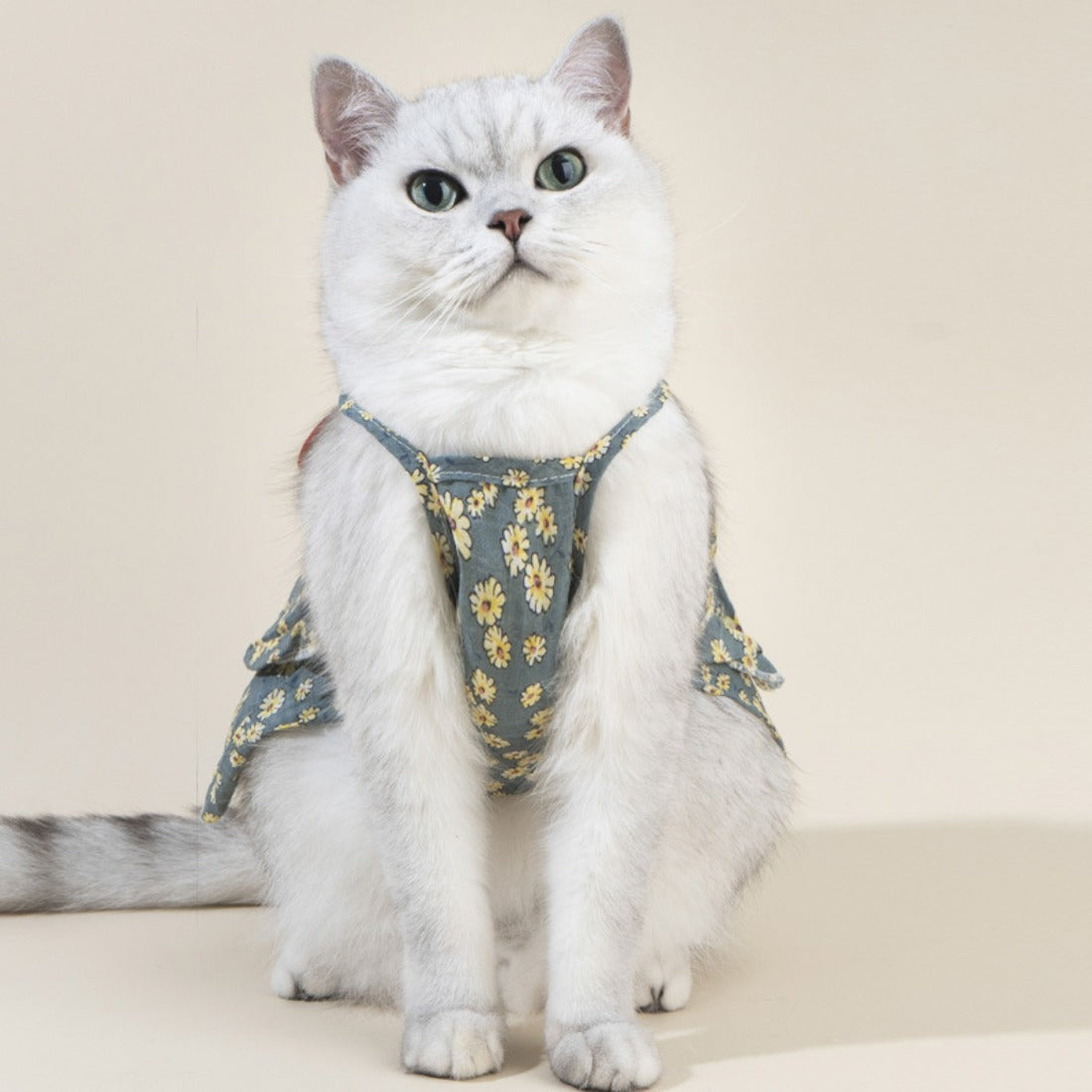 Ozzie - Small Floral Pattern Clothes for Cats