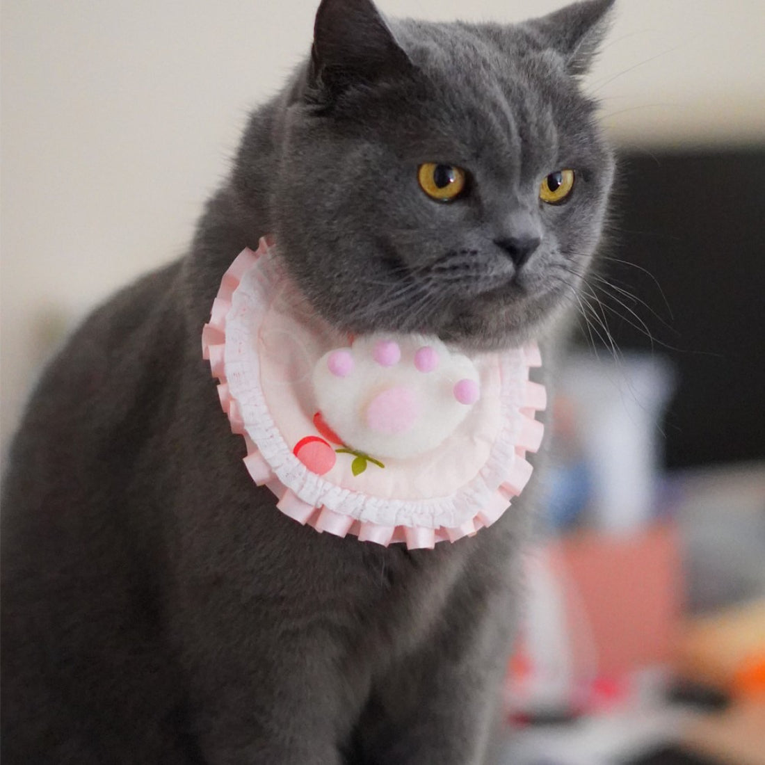 Close-up of Mokka cat bib plush detailing on the cat face and fabric texture