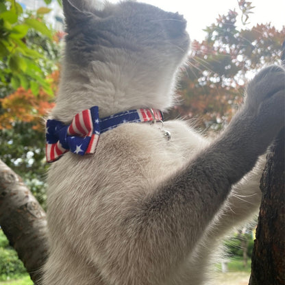 Fourth of July pet accessory showing Mokka patriotic cat collar and bow tie