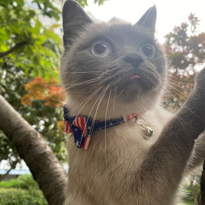 Close-up of breakaway cat collar featuring USA flag themed bow tie