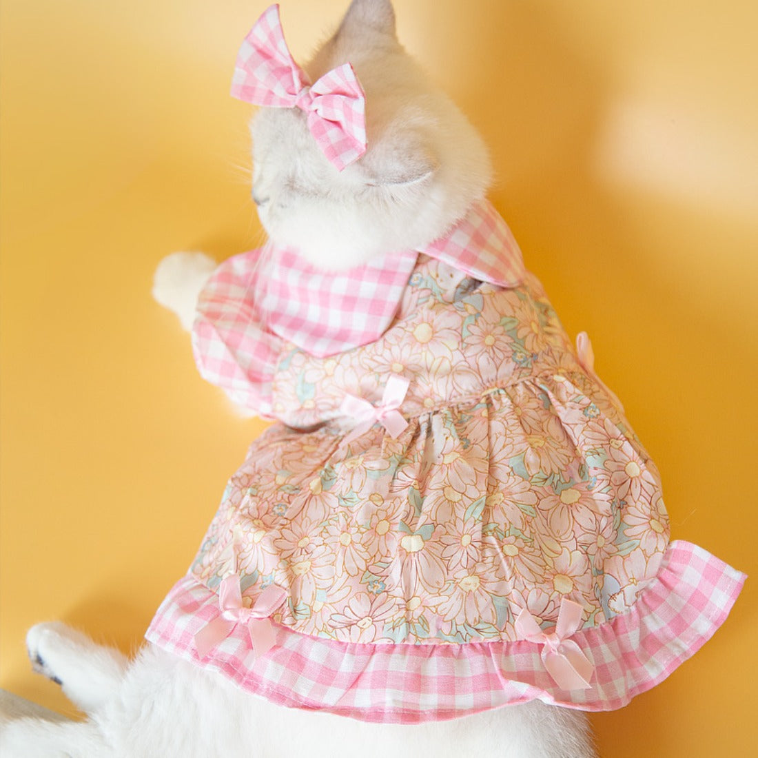Close-up of bow detail on Ozzie sweet floral dog dress