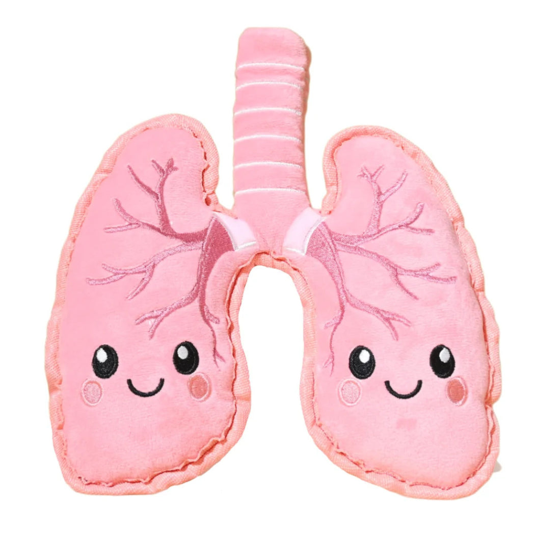 Petkin Pink Lung Plush Dog Toy