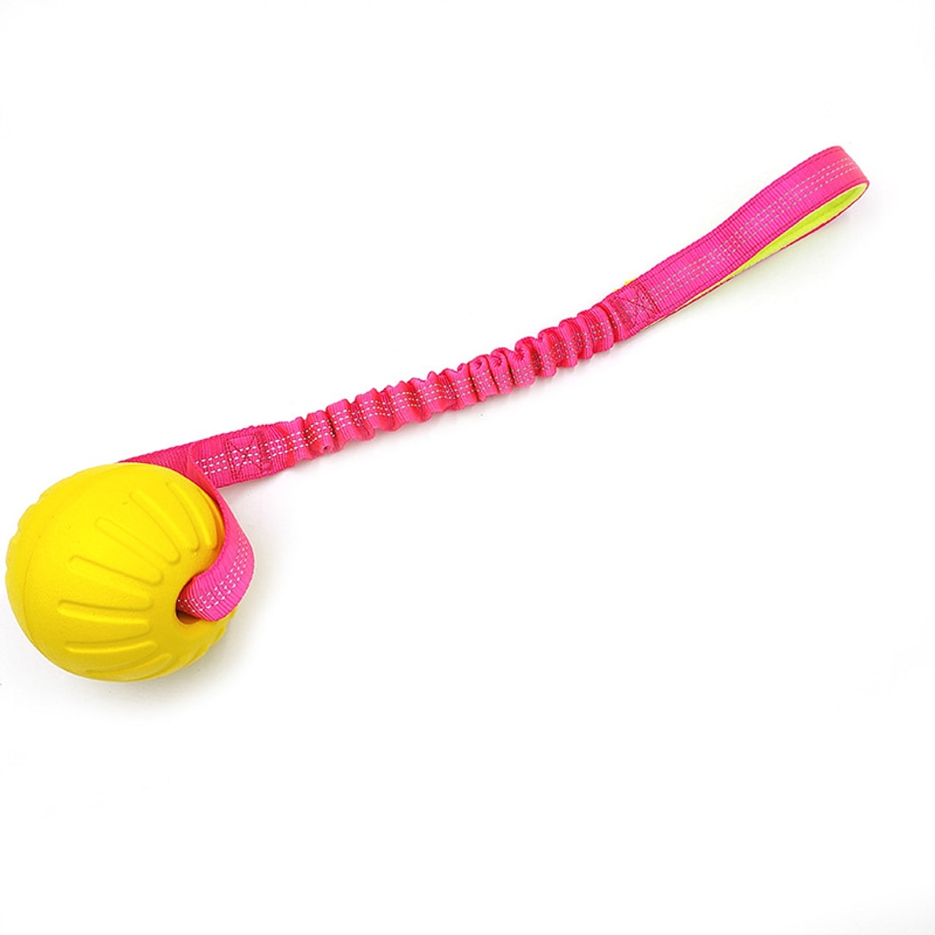 Petkin - Floating Rope Handle Dog Ball Toy