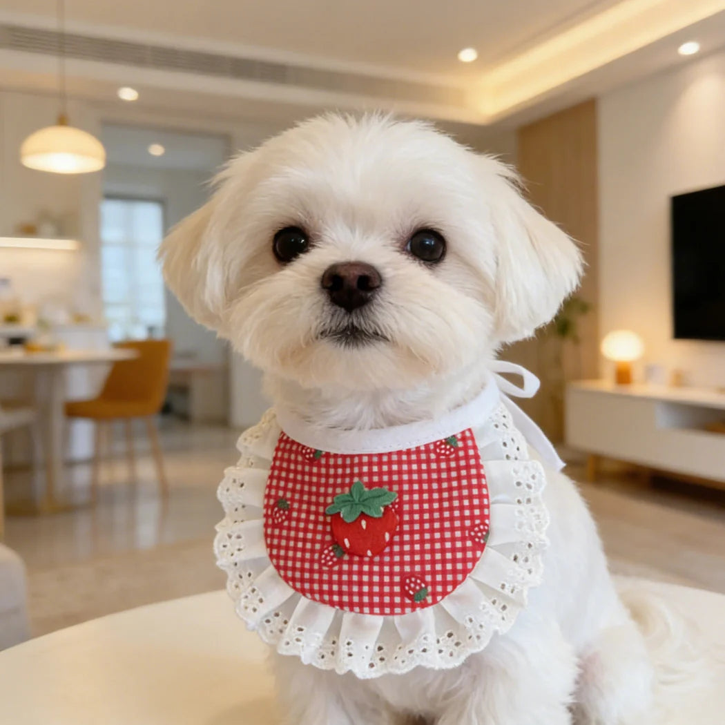 Mokka - Strawberry Bib Pet Neckwear