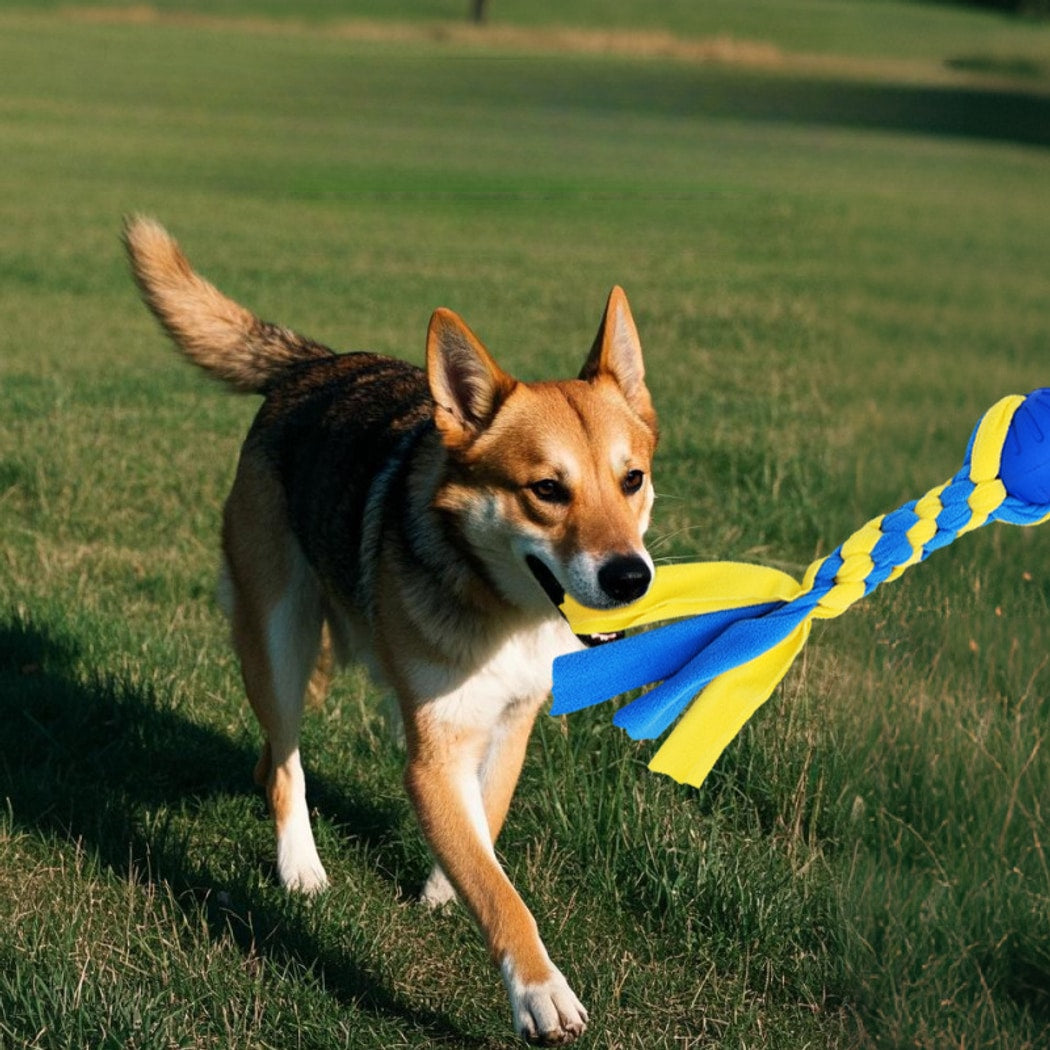 Petkin - Braided Interactive Dog Rope Toy