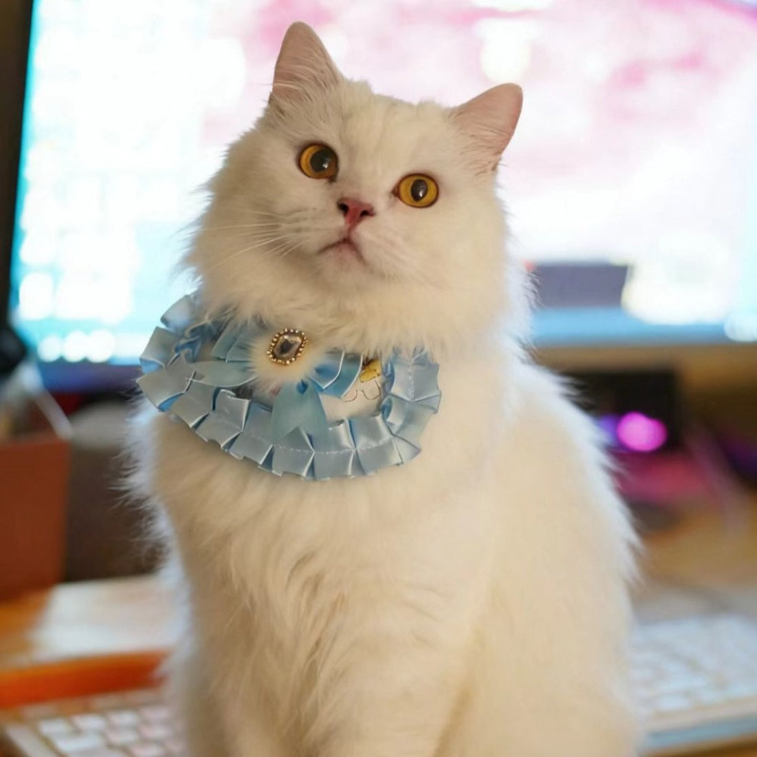 Close-up of Mokka cat neck bib showing detailed ruffle and gem embellishment