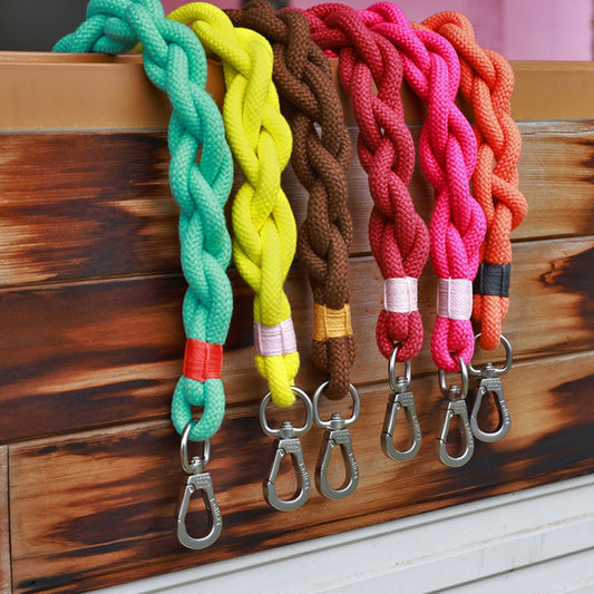 Loofie - Colorful Braided Dog Leash 31in