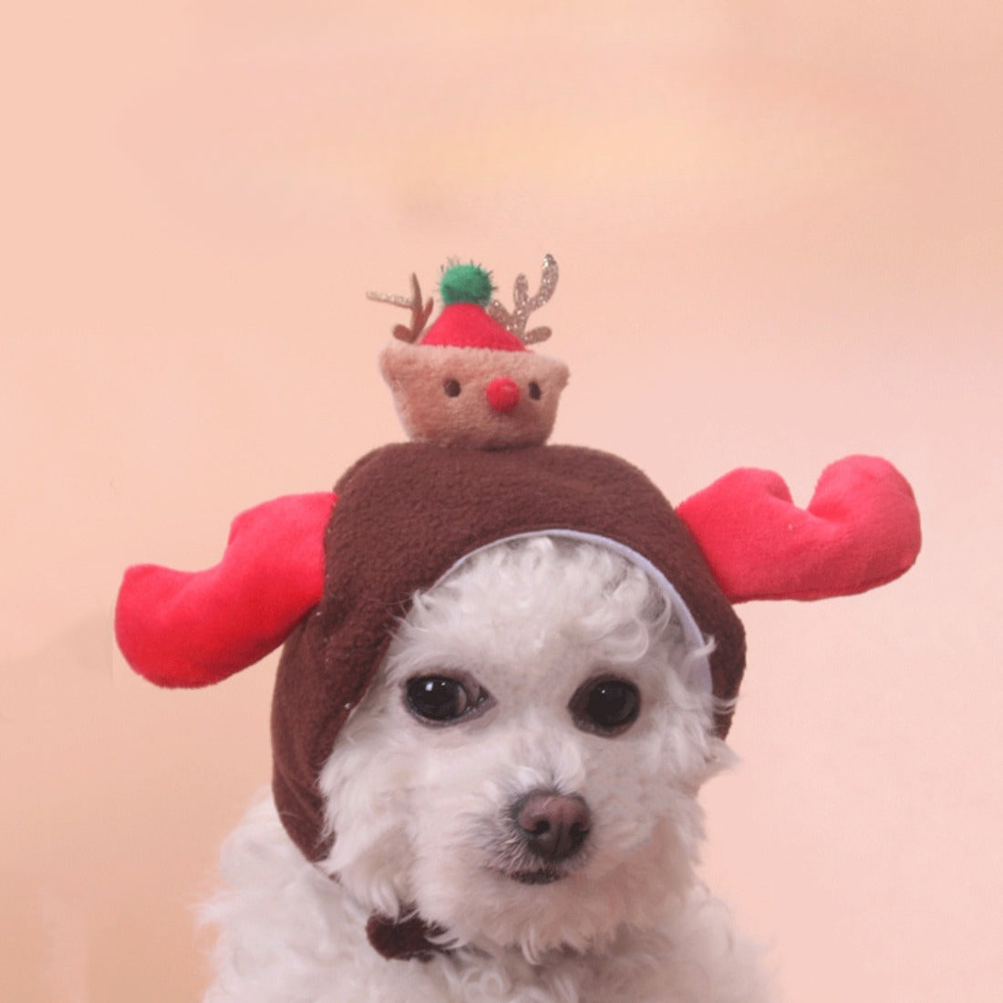 Christmoo - Reindeer Pet Hat