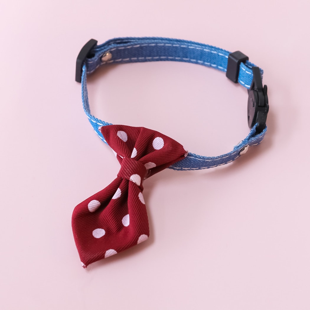 Mokka - British Style Polka Dot Bell Cat Collar