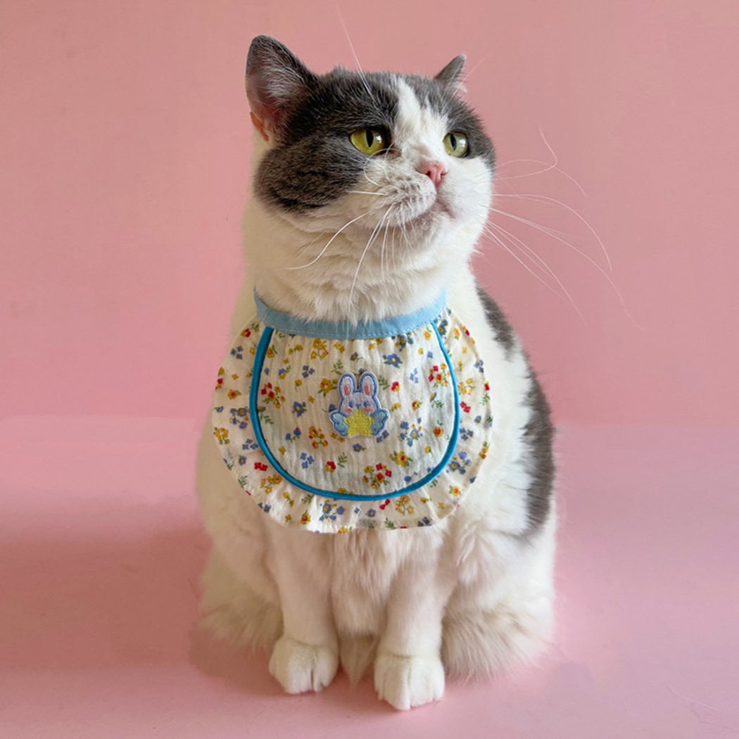 Mokka - Floral Ruffle Lace Cat Bib