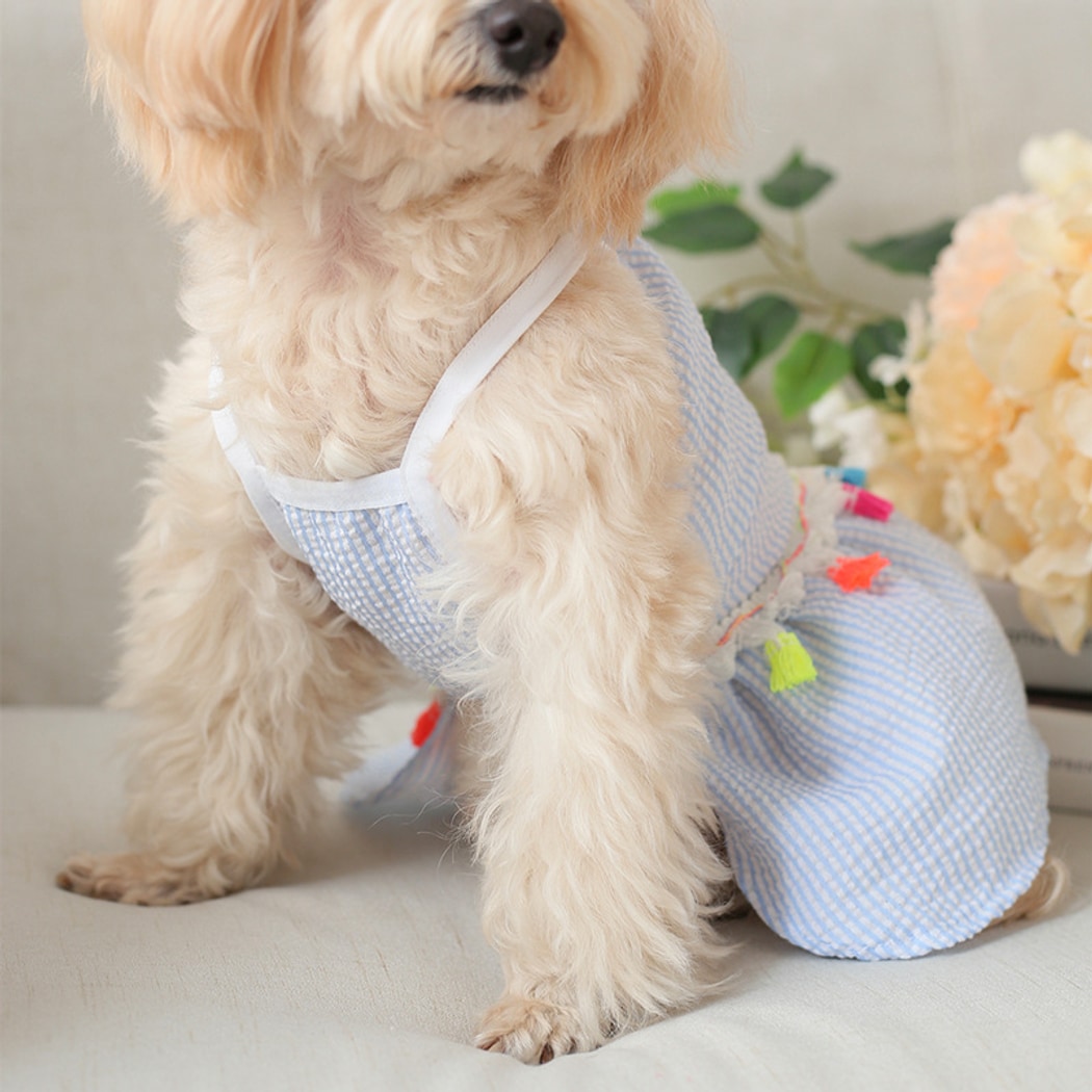 Ozzie - Casual Tassel Trim Dog and Cat Pet Dress