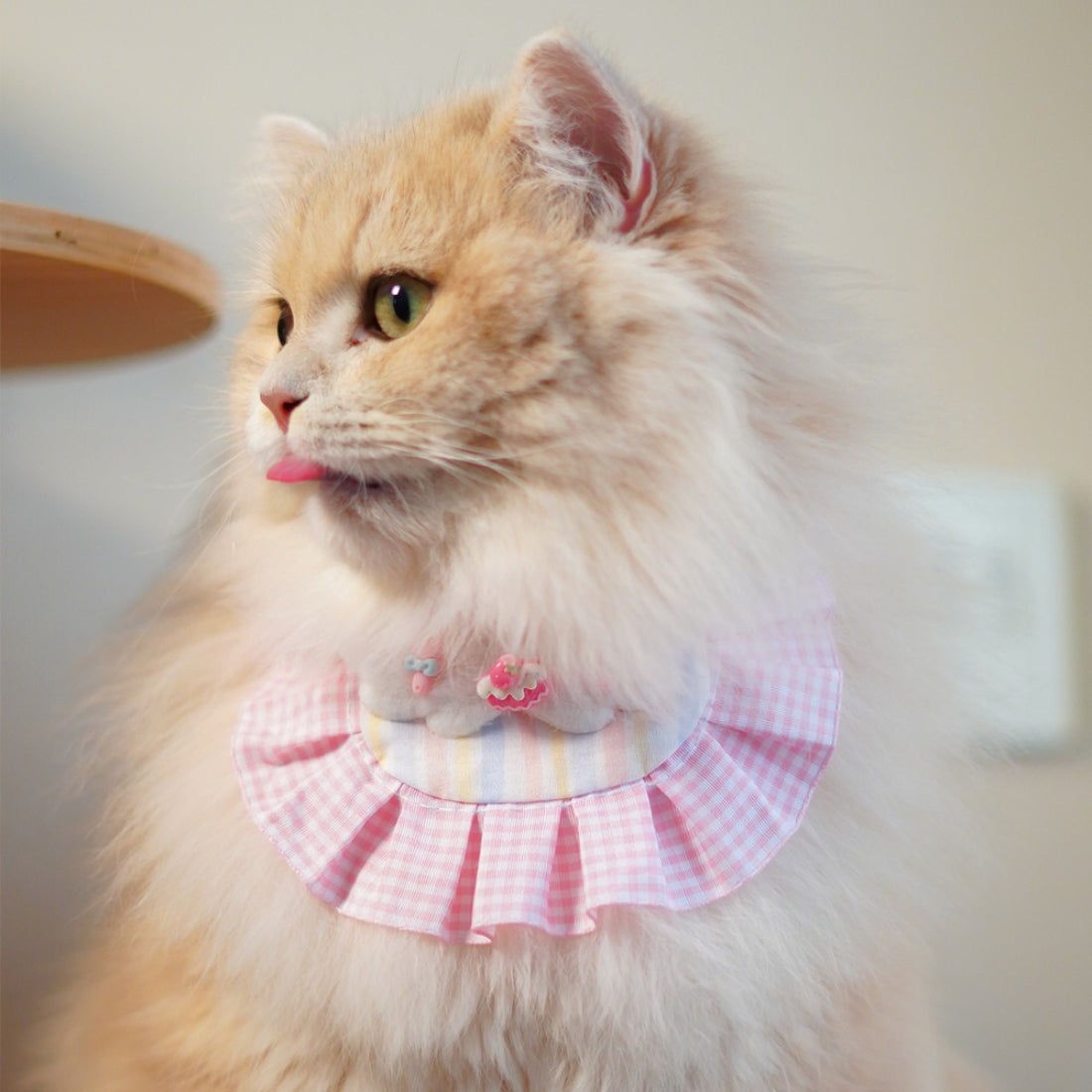 Mokka Cake Charm Cat Bib with a cute cat face and cake design on a soft fabric