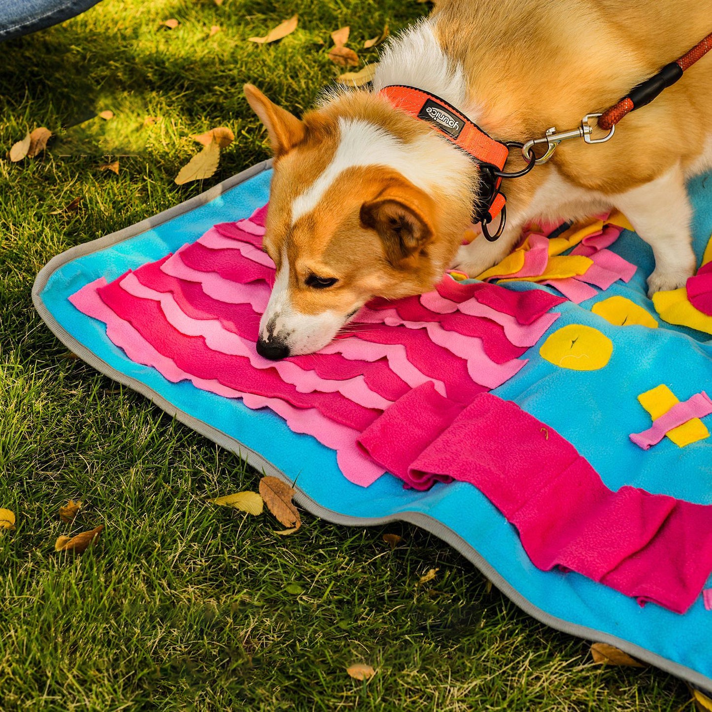 Snuffy - Multi-Activity Snuffle Mat