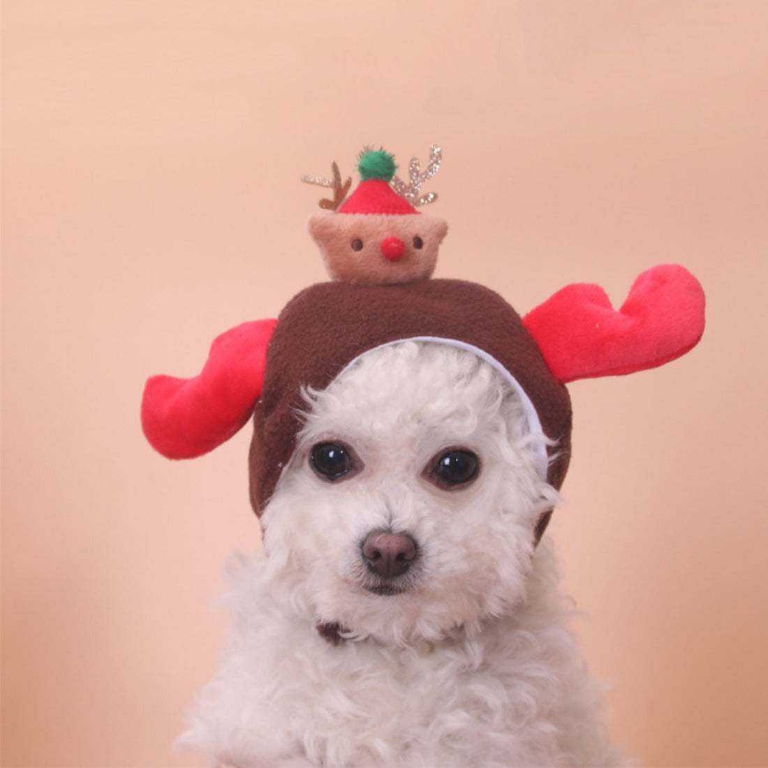 Christmoo - Reindeer Pet Hat