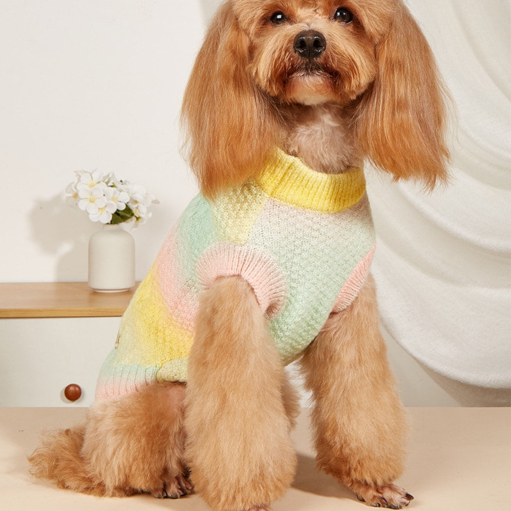 Ozzie - Gradient Candy Style Pet Sweater for Dogs