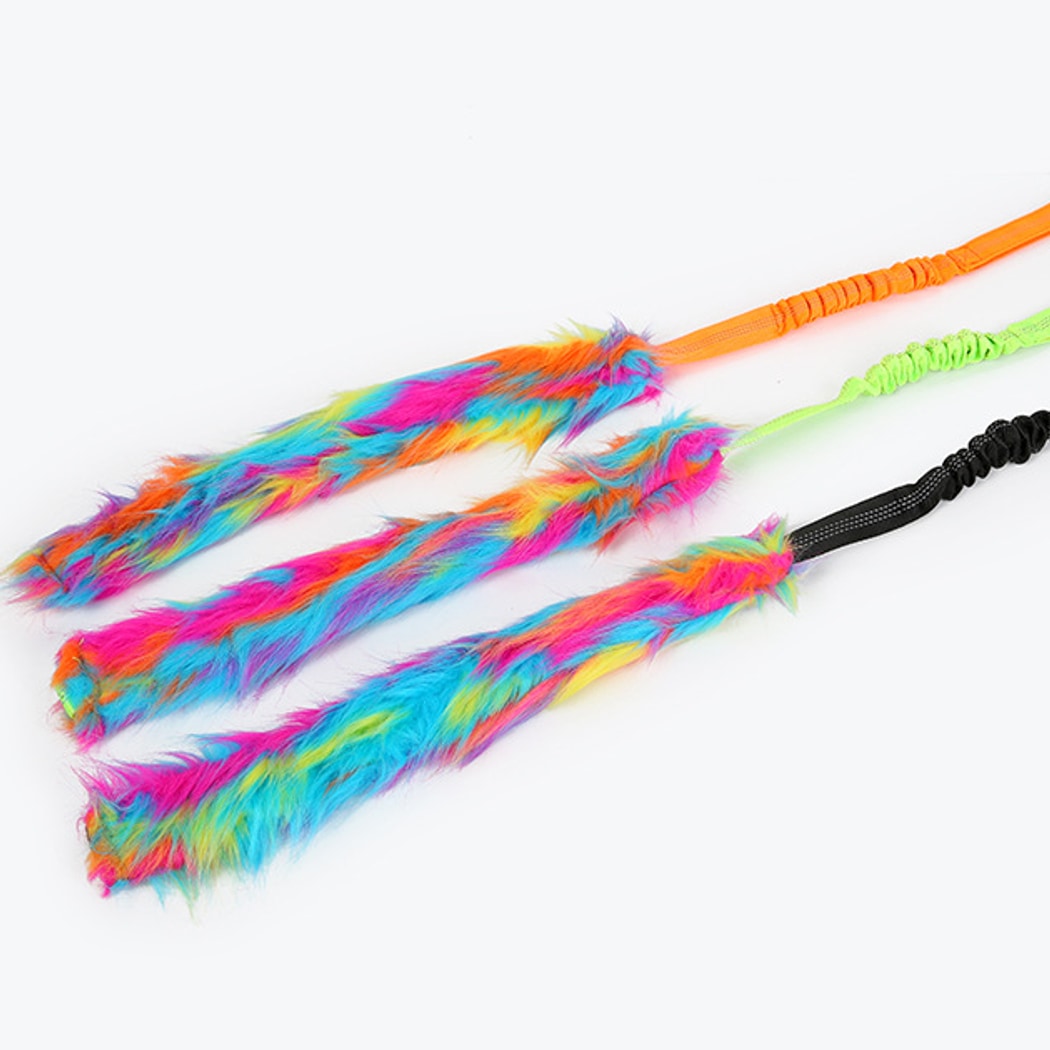 Petkin - Interactive Tug Play Dog Rope Toy