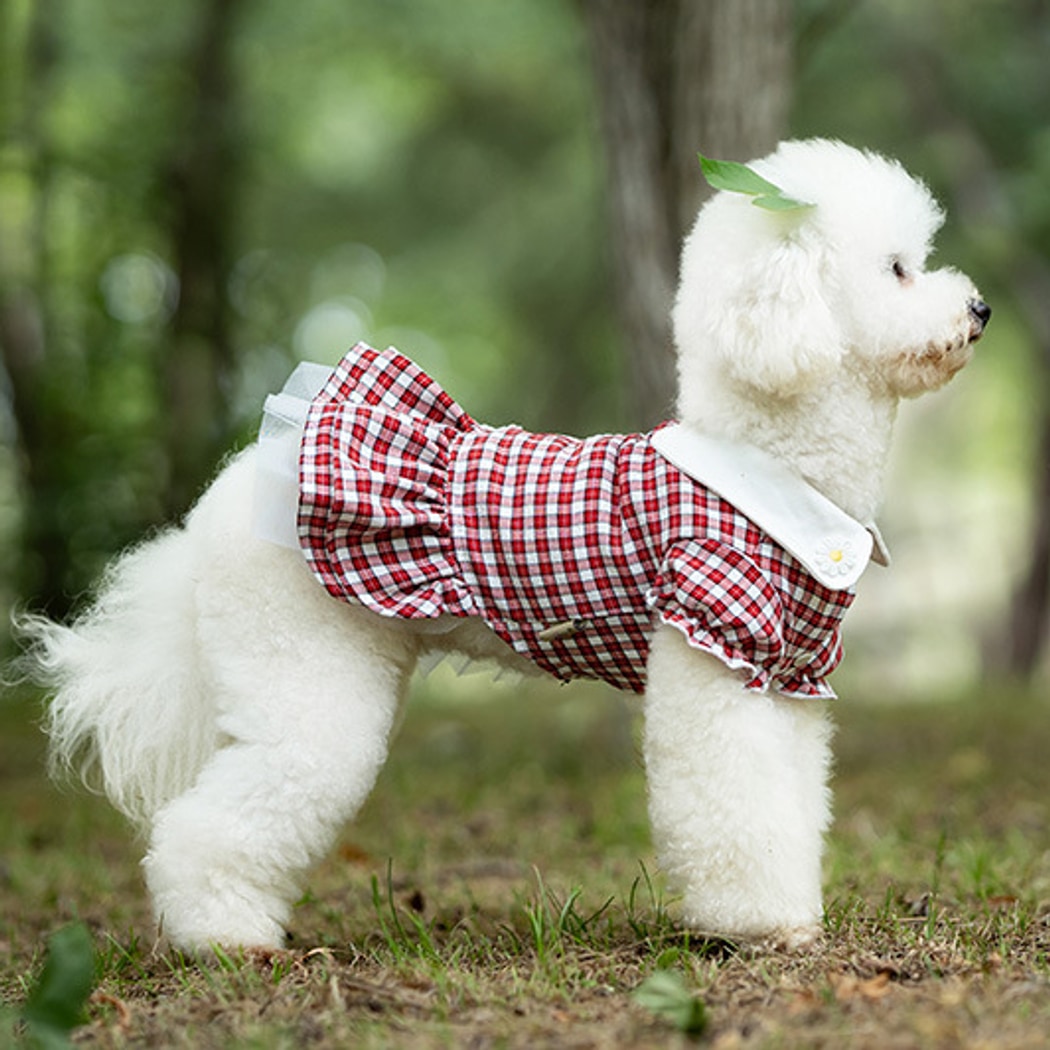 Ozzie - Spring Summer Plaid Princess Style Dog Dress