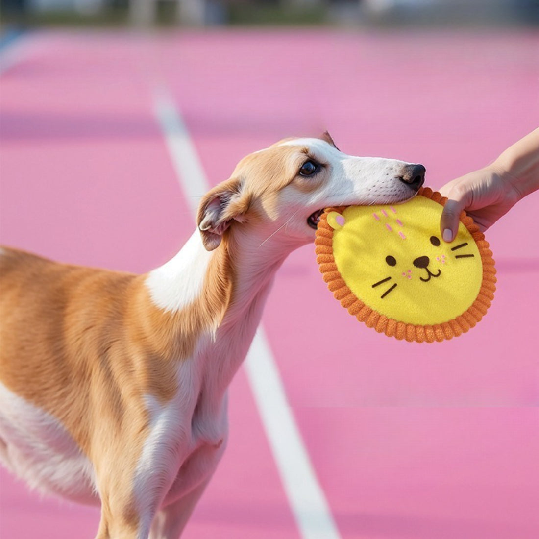 Close-up of Petkin Animal Plush Flying Disc dog toy showing soft plush texture