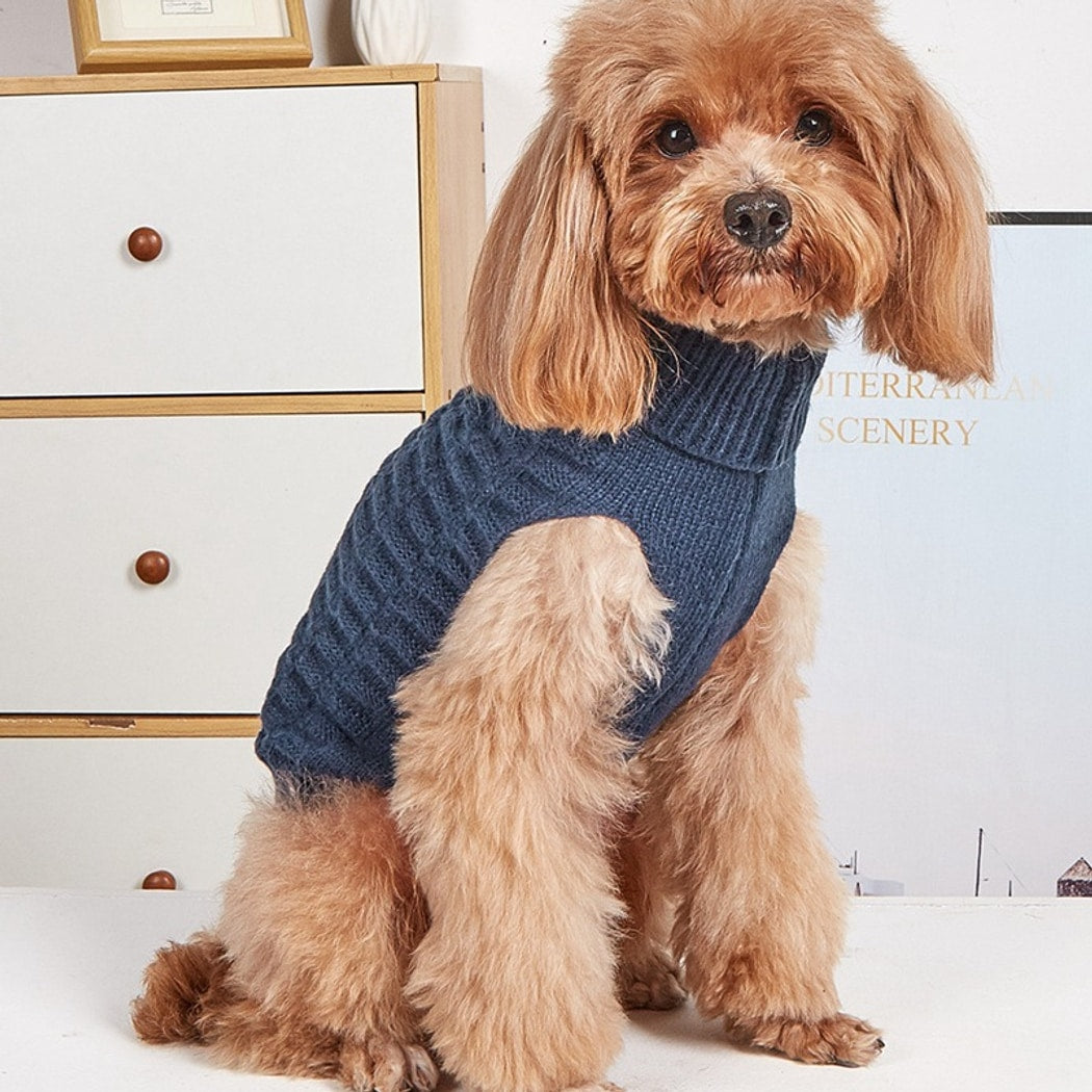 Ozzie - Dog and Cat Sweater with Ribbed Collar