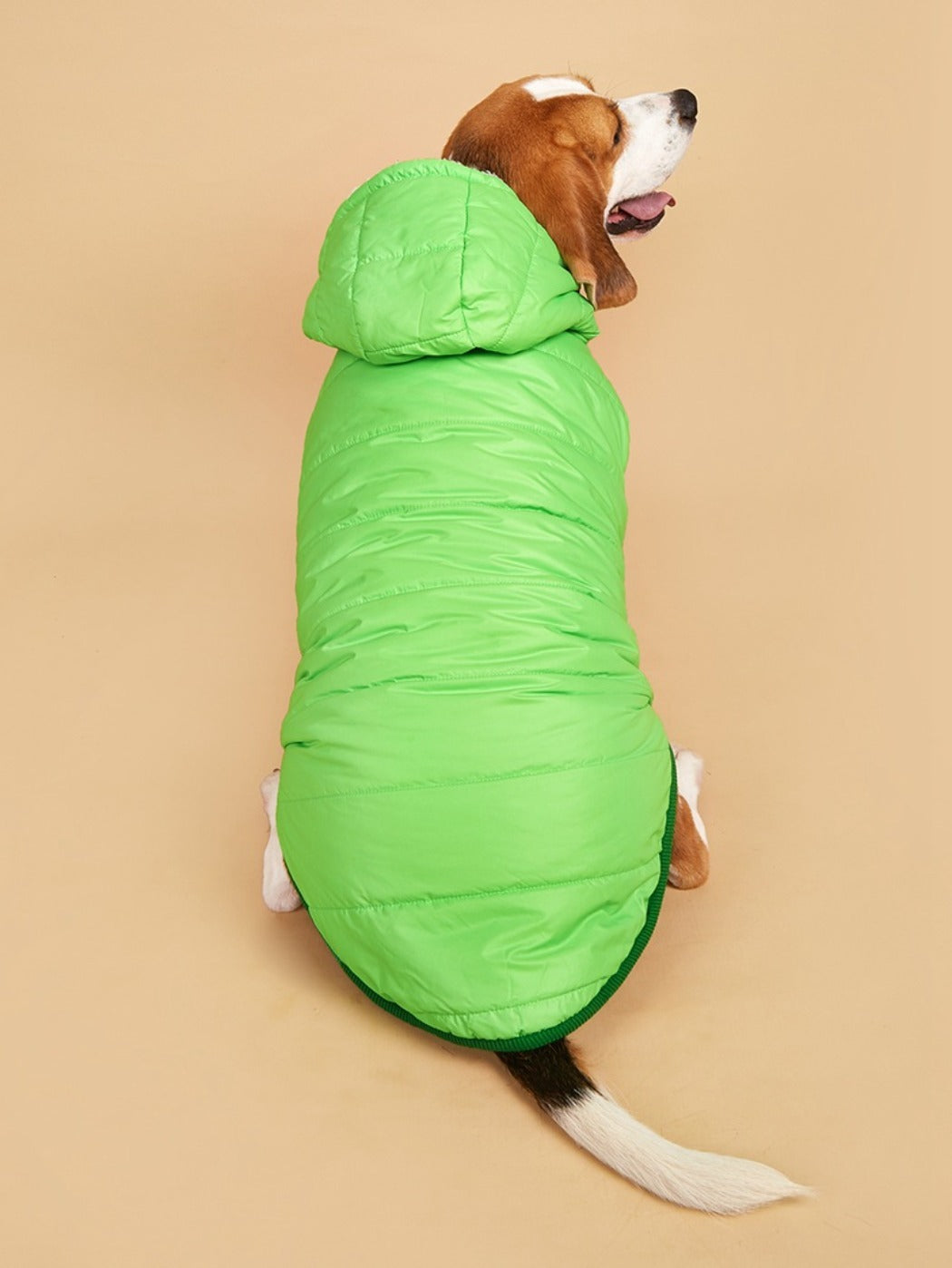 Ozzie – Puffer Hoodie Dog Coat