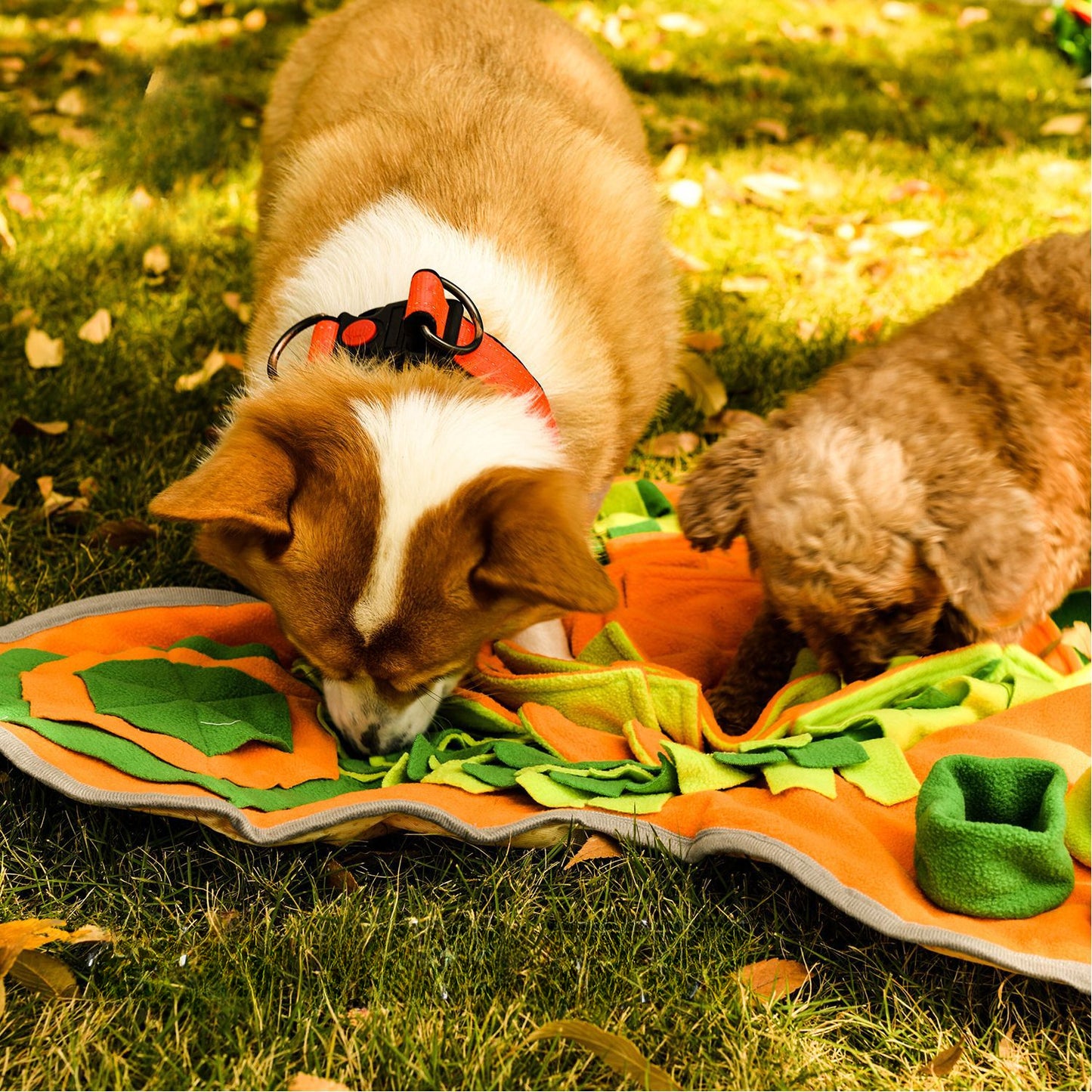 Snuffy - Orange Flower Pet Snuffle Mat