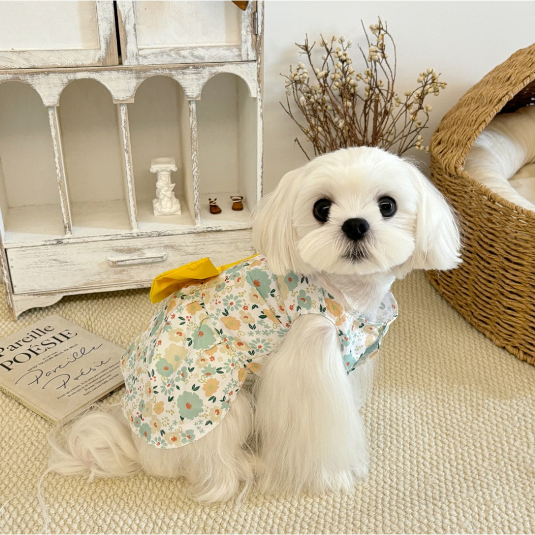Ozzie - Floral Bow Dress for Dogs and Cats Dress