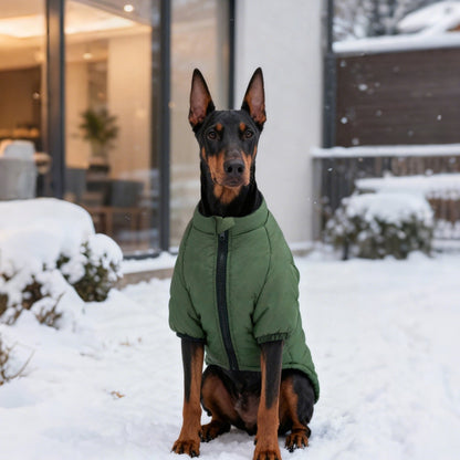 Ozzie - Outdoor Winter Dog Jacket for Large Dogs