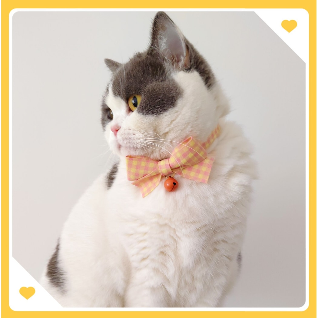 Mokka - Plaid Bow Bell Adjustable Cat Collar