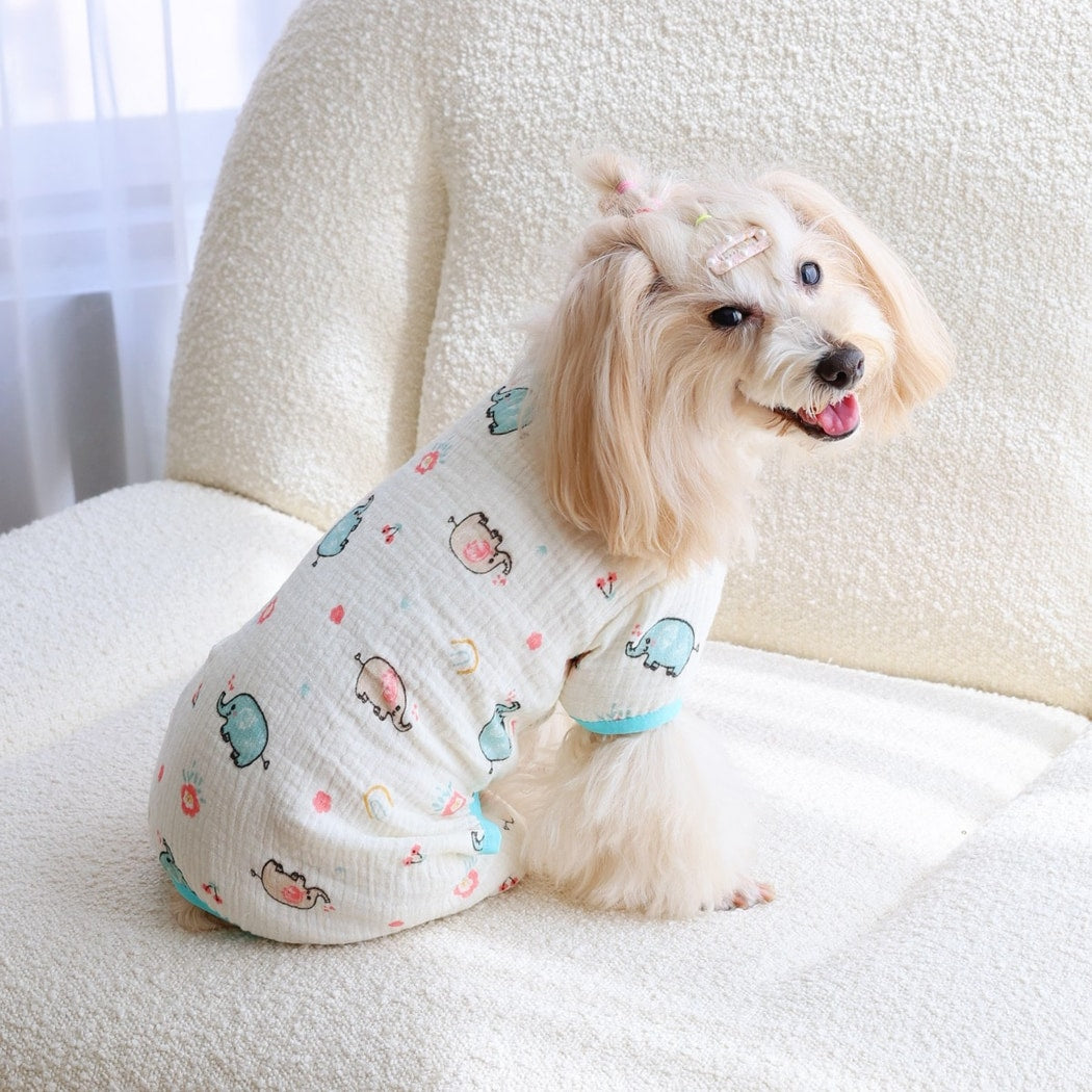 Ozzie - Cute Printed Cat and Dog Everyday Pet Dress