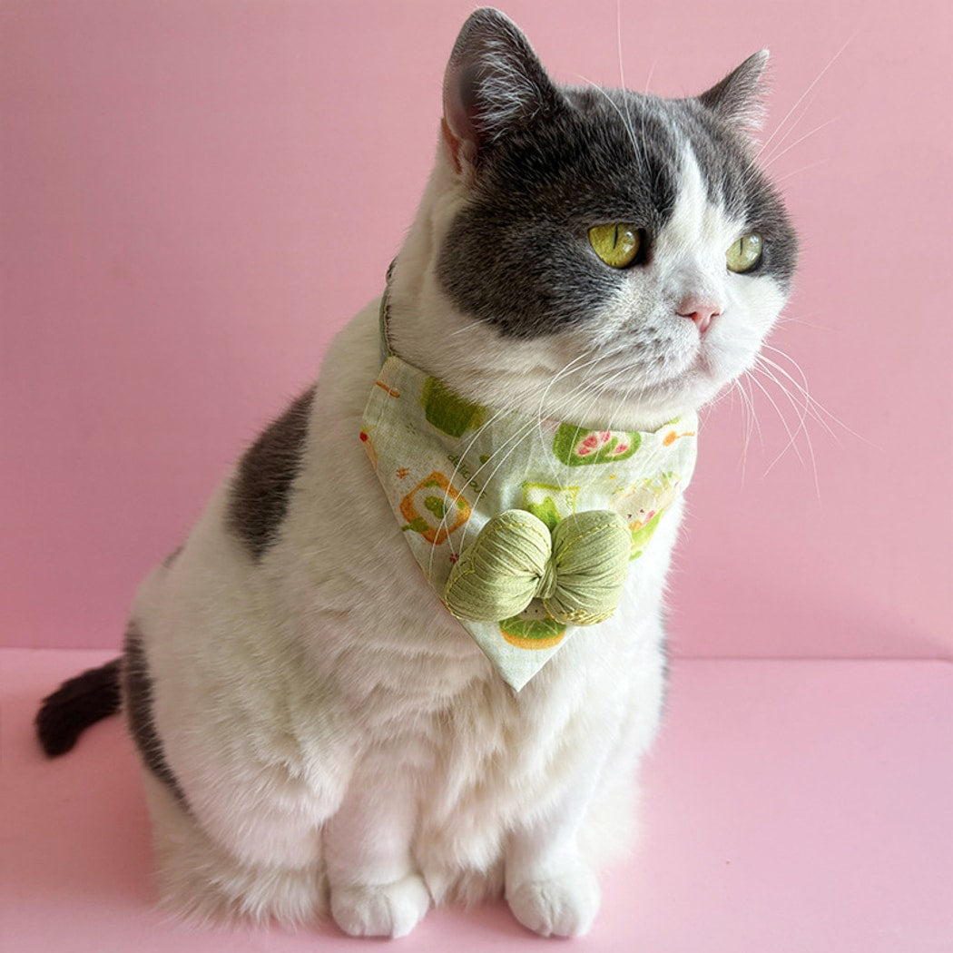 Mokka - Candy Color Bow Cat Bandana Collar