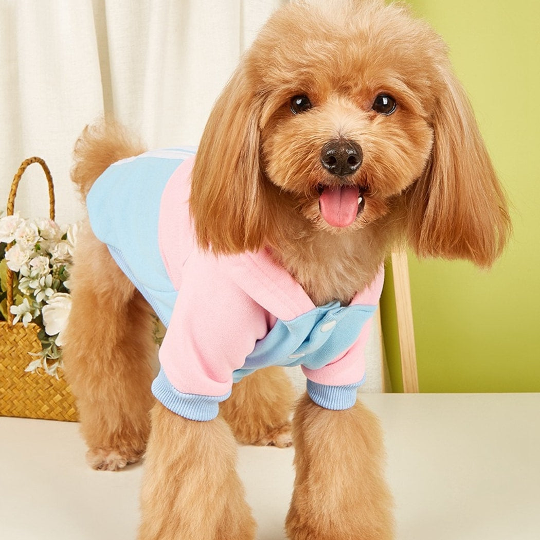 Ozzie - Sports Style Color Block Pet Hoodie