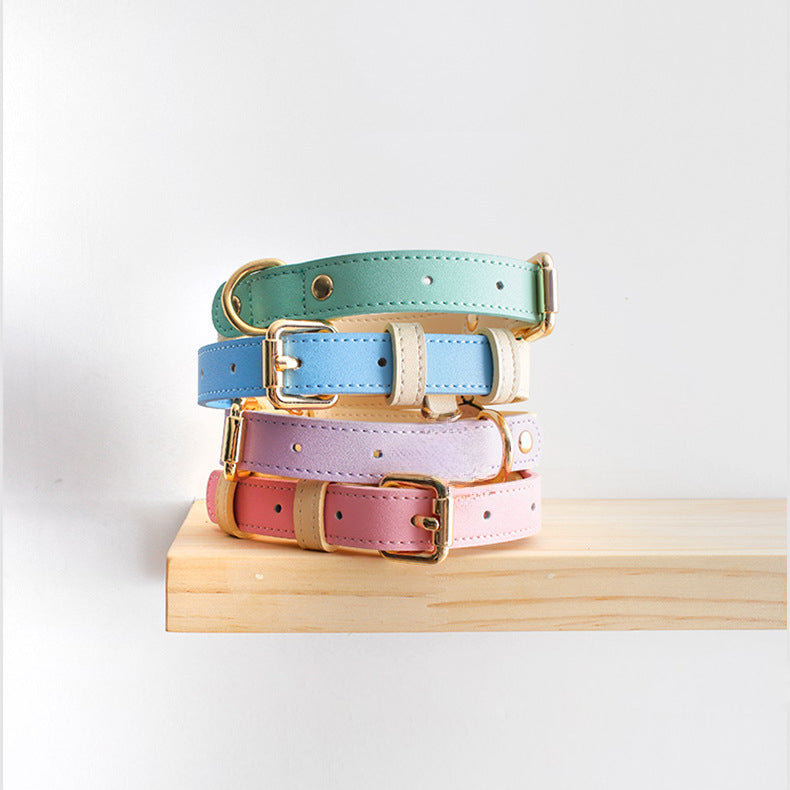 Loofie - Colorful Leather Dog Collar