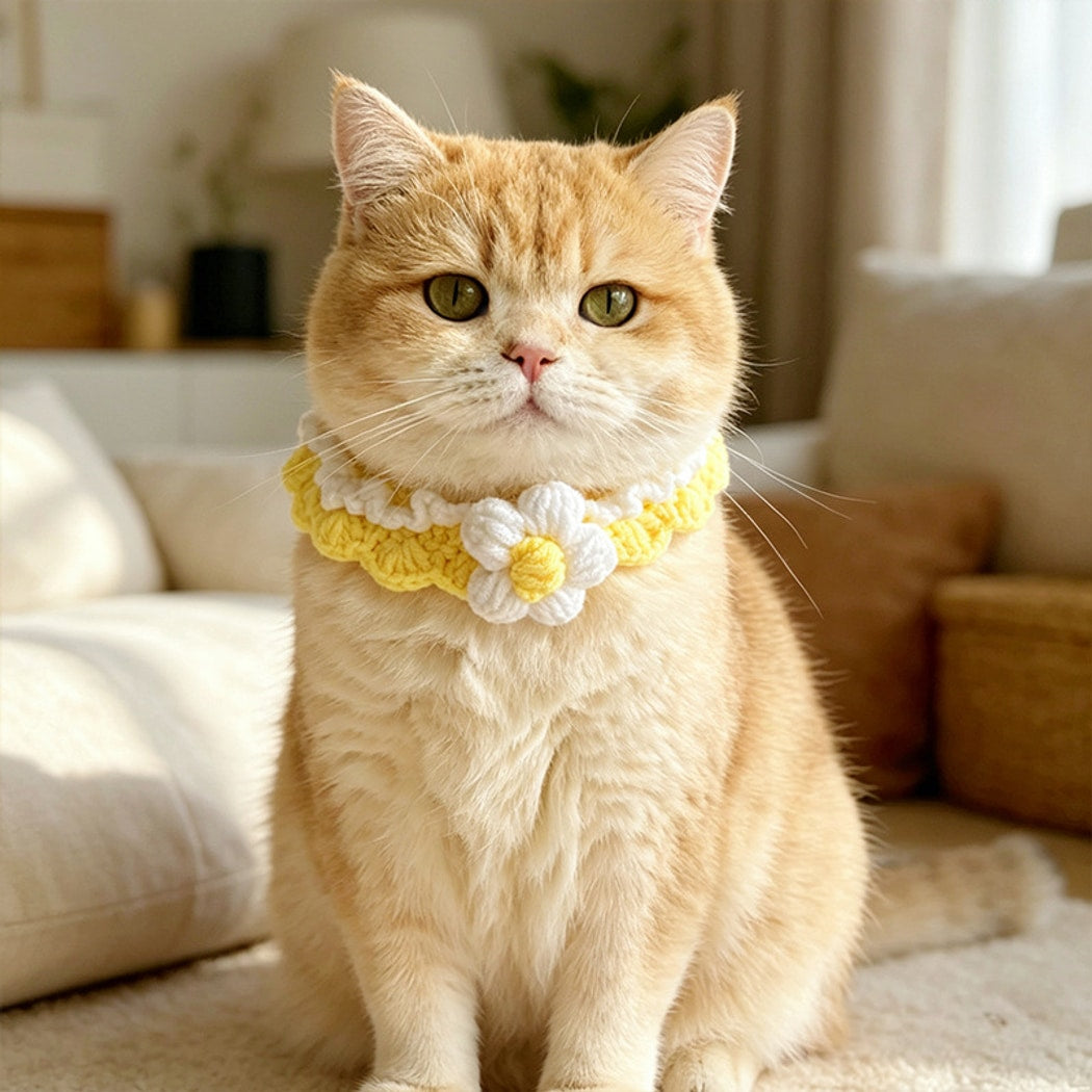 Mokka - Floral Crochet Style Pet Collar